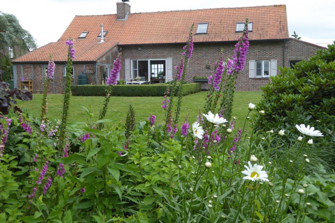 Vakantiewoning Jerome Heuvelland Kültér fotó